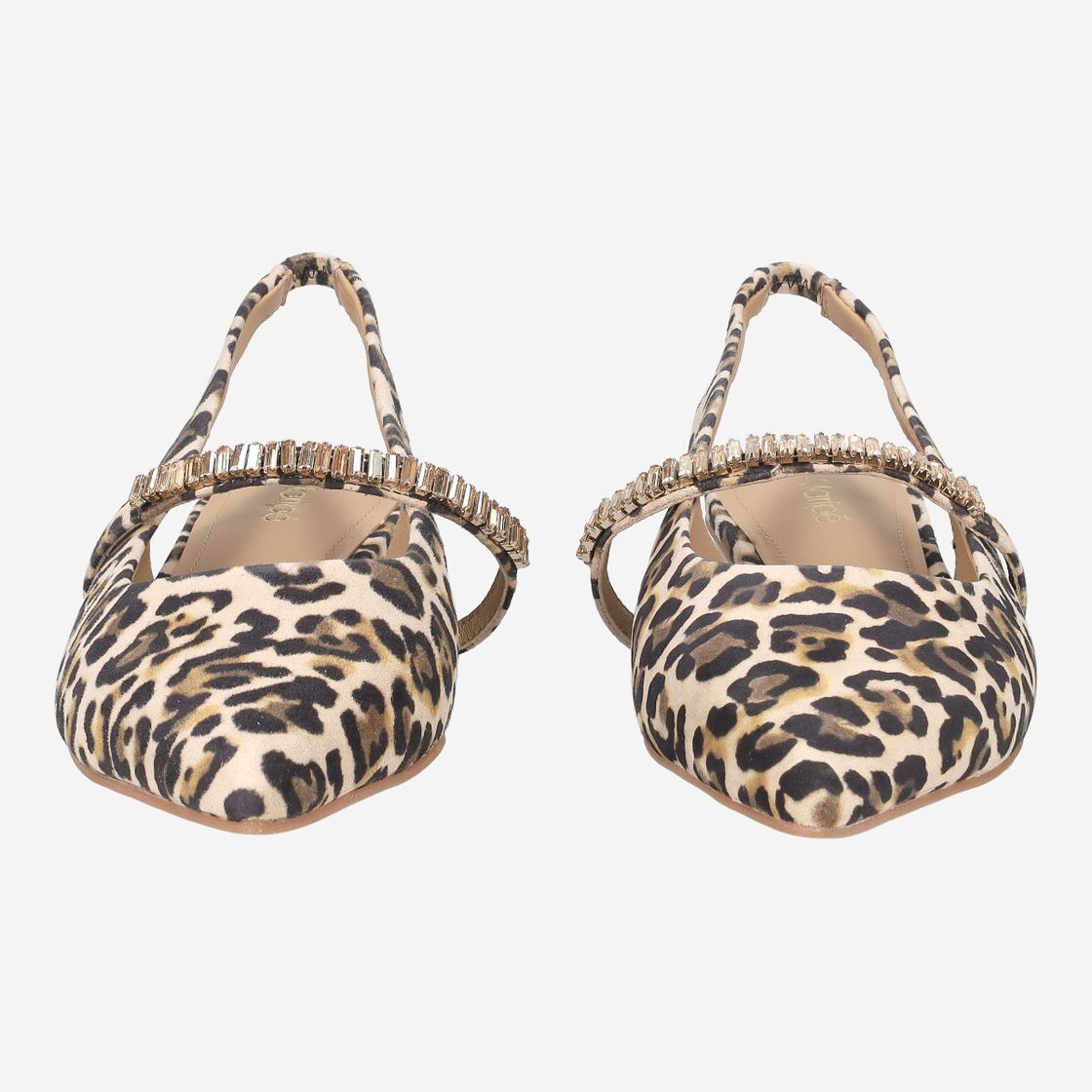 Maripé ESPERANZA - Brown / Leo - Front view